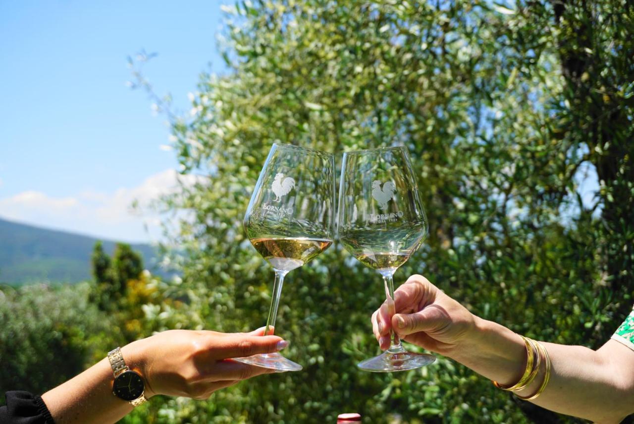 Fattoria Lornano Winery Villa Monteriggioni Ngoại thất bức ảnh